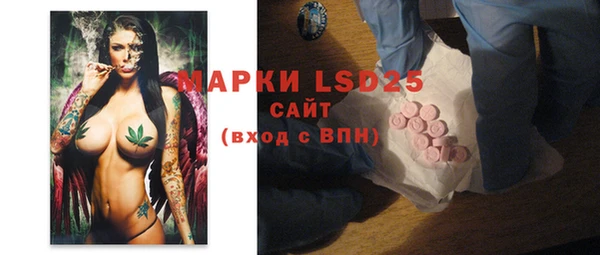 apvp Гусев