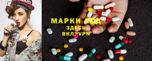 spice Дмитриев