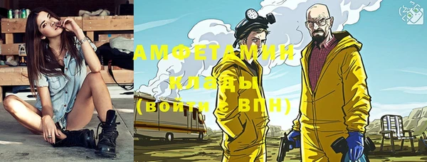 индика Белая Холуница