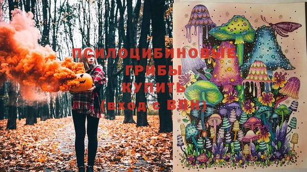 МДПВ Осинники