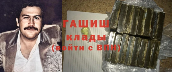 индика Белая Холуница