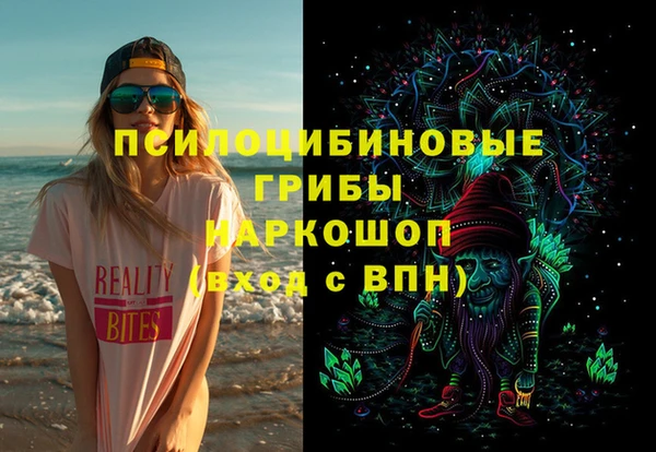 apvp Гусев