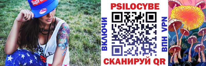 Галлюциногенные грибы Psilocybine cubensis  Ефремов 